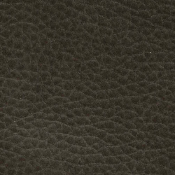 Tranquil 2 PLR935 - Deep Recline Position | Memory Remote | Power Headrest & Lumbar-Lift Chair-Pride Mobility-Cappricio Smoke-Medium-capitalmedicalsupply.ca